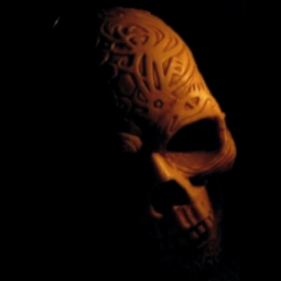 Biomechanik skull