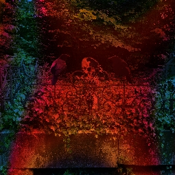 Love Madness Death Trailer