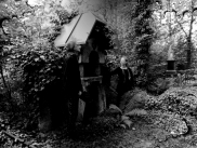 band photo 22