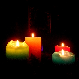 Love Madness Death Trailer